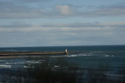 DSC_7228 (Large).JPG